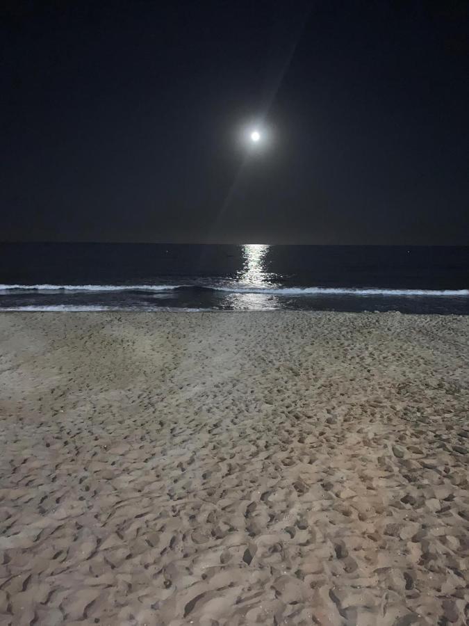Atico Playa Muchavista - El Campello Leilighet Alicante Eksteriør bilde